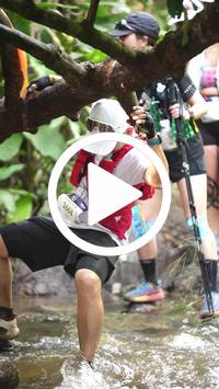 BIB:  <button type="button" onclick="openModal(27825529)" class="btn btn-primary btn-sm float-right" data-toggle="modal" data-target=".modal-high-quality">
                <i class="fa fa-download"></i> Download
                </button>